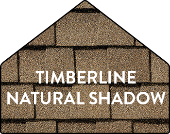 RSI-Roofing Services, Inc. Images